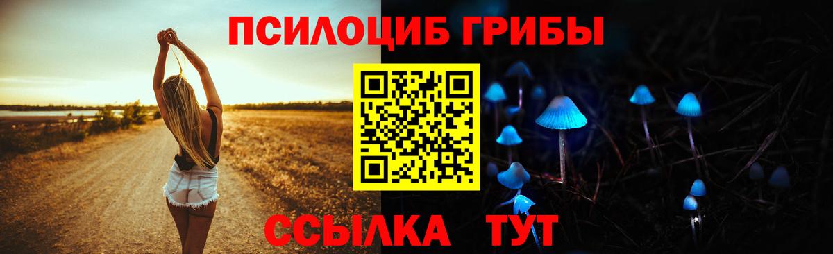 Галлюциногенные грибы Cubensis  цена наркотик  Галлюциногенные грибы MAGIC MUSHROOMS  Сердобск  Вход с VPN 